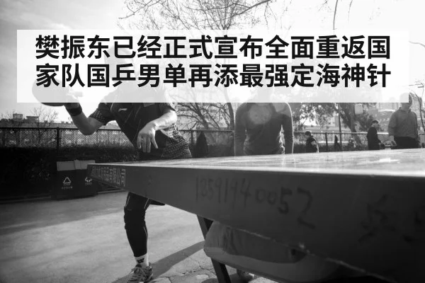 樊振东已经正式宣布全面重返国家队国乒男单再添最强定海神针