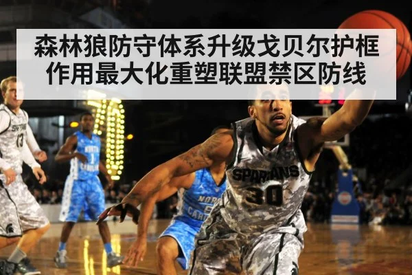 森林狼防守体系升级戈贝尔护框作用最大化重塑联盟禁区防线