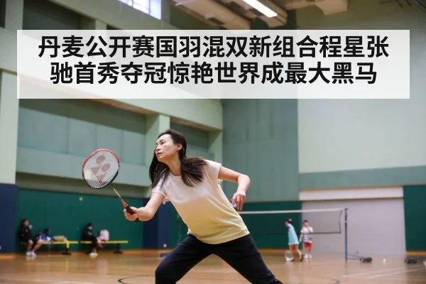 丹麦公开赛国羽混双新组合程星张驰首秀夺冠惊艳世界成最大黑马