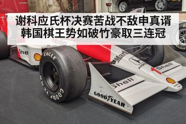 谢科应氏杯决赛苦战不敌申真谞 韩国棋王势如破竹豪取三连冠